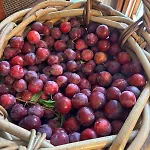 بيت للعطل Quinta Santo Antonio