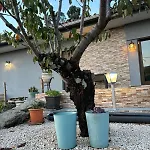 Quinta Santo Antonio بيت للعطل *