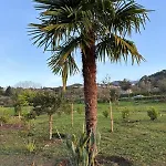 Quinta Santo Antonio غويفيا
