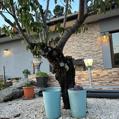 Quinta Santo Antonio Сasa de vacaciones *