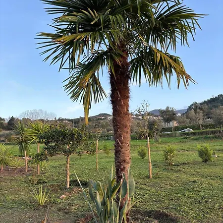 Quinta Santo Antonio Gouveia (Guarda)