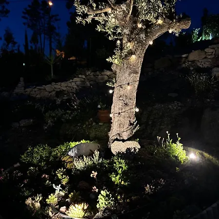 Quinta Santo Antonio 度假居