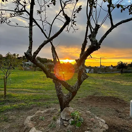 Quinta Santo Antonio * Gouveia (Guarda)