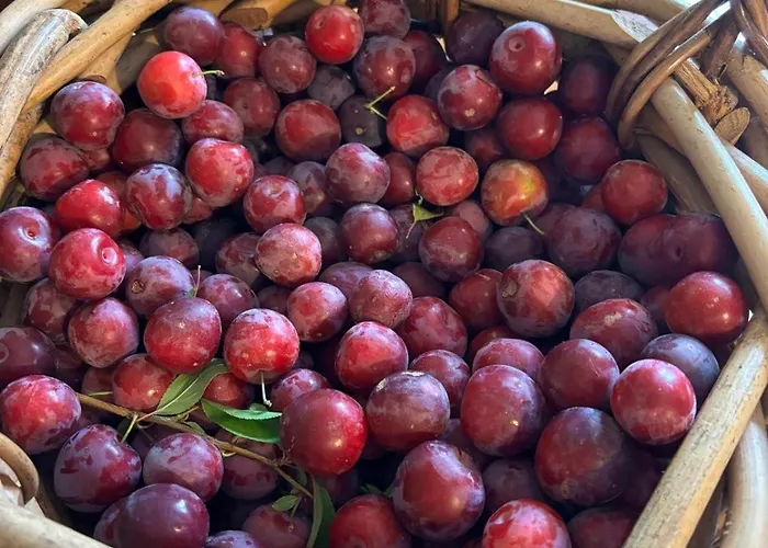 بيت للعطل Quinta Santo Antonio