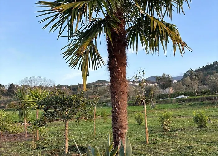 Quinta Santo Antonio Gouveia (Guarda)