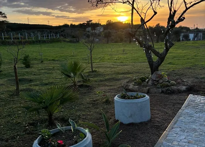 Quinta Santo Antonio بيت للعطل غويفيا