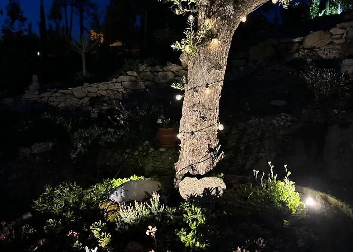 Quinta Santo Antonio Casa de Férias