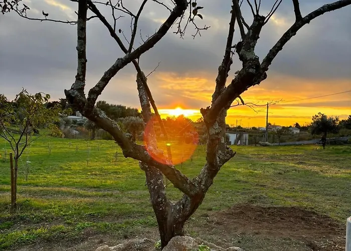 Quinta Santo Antonio * غويفيا